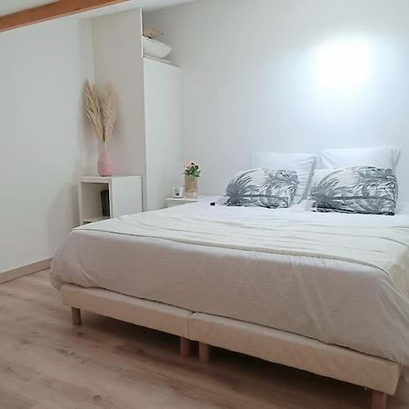 Loft En Centre Ville Perpignan Zewnętrze zdjęcie